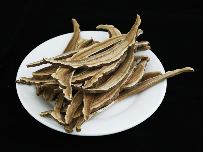 72靈芝.JPG