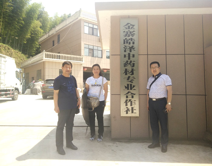 考察人員在安徽金寨皓澤中藥材**合作社.jpg
